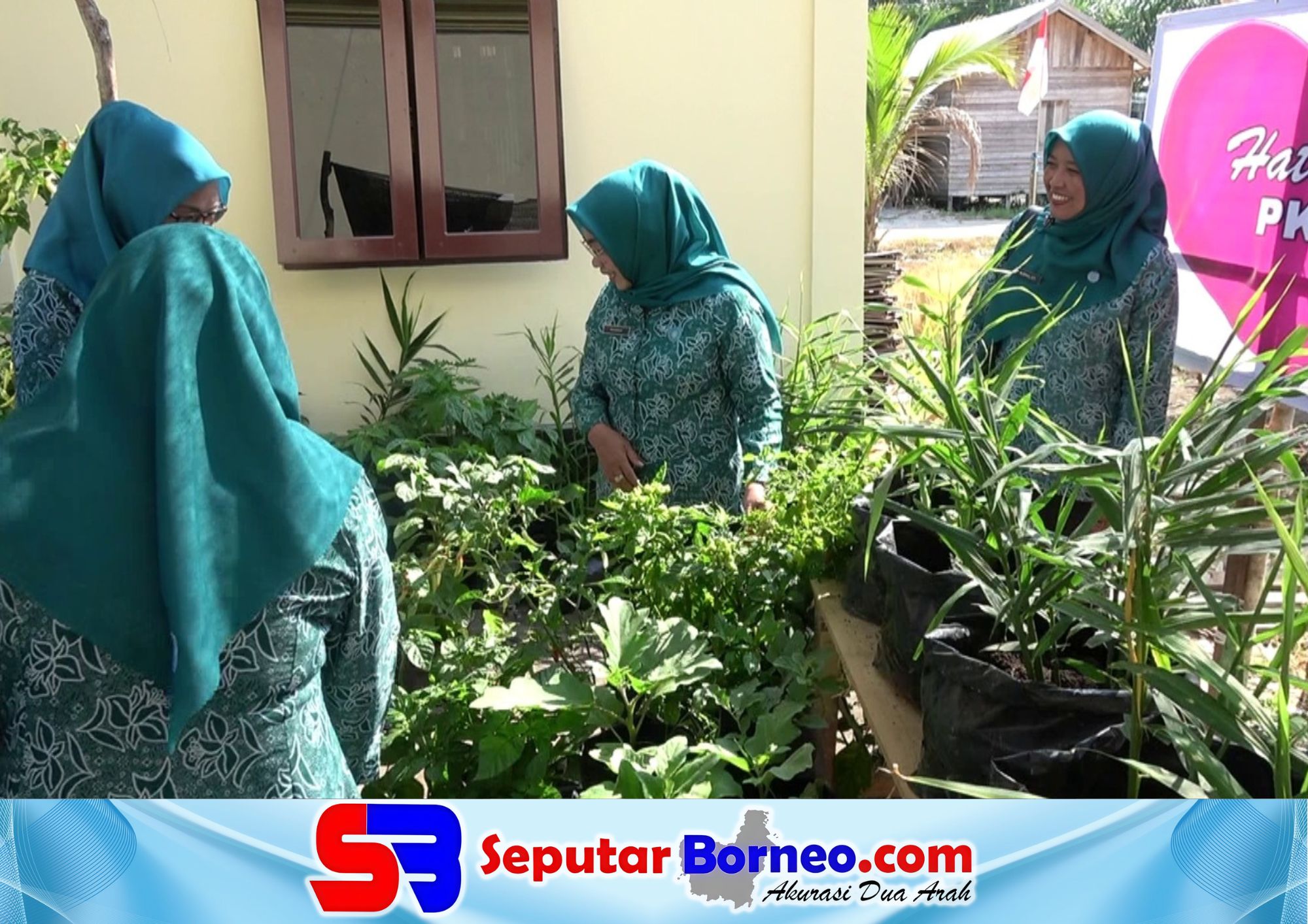 TP-PKK Minta Warga Pelangsing Manfaatkan Pekarangan untuk Kebutuhan Sayur