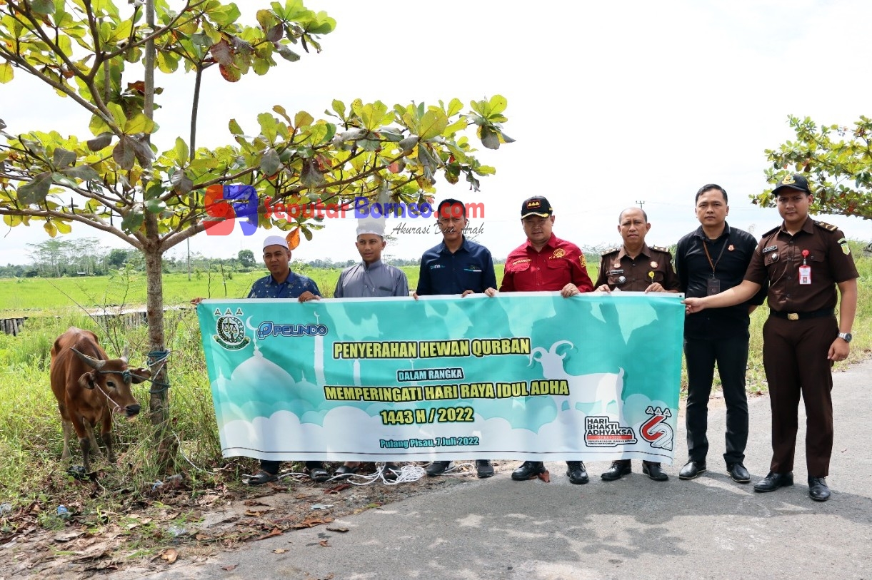 Kejari Pulang Pisau Bersama Pelindo Salurkan Hewan Kurban 