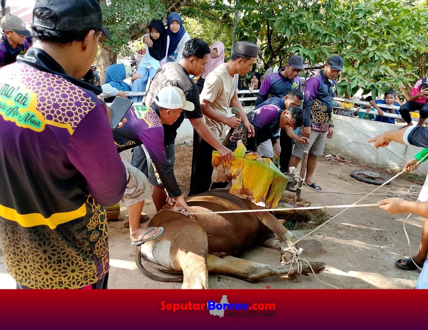 Warga RT 13 Nanga Bulik Antusias Rayakan Hari Idul Adha 1446 H