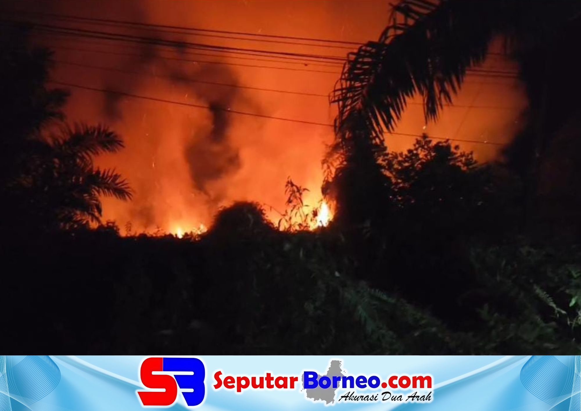 138 Personel Tangani Karhutla Kotim, Warga Diminta Jangan Jadi Penonton
