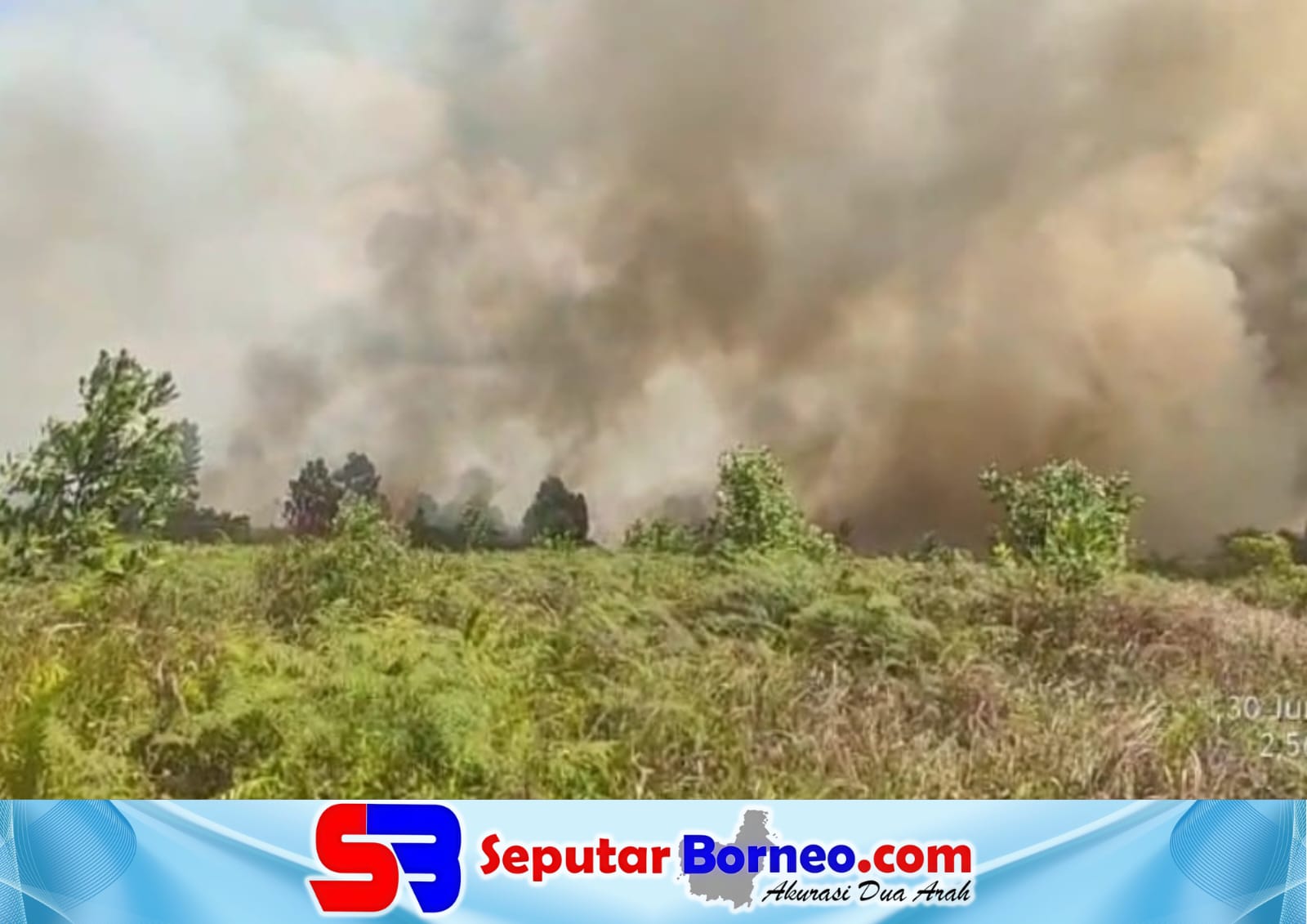 Karhutla di Kotim Meluas, BPBD: Lahan Terbakar Diperkirakan Tembus 300 Hektare