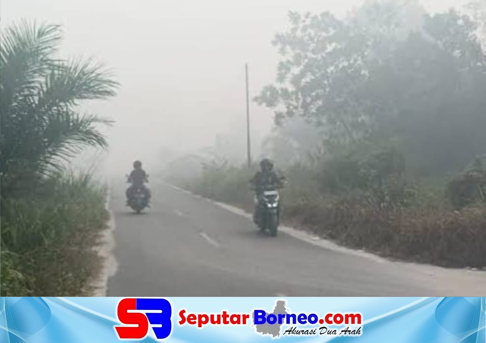 Asap Karhutla Ganggu Jalan Trans Kalimantan, Pengendara Diminta Waspada