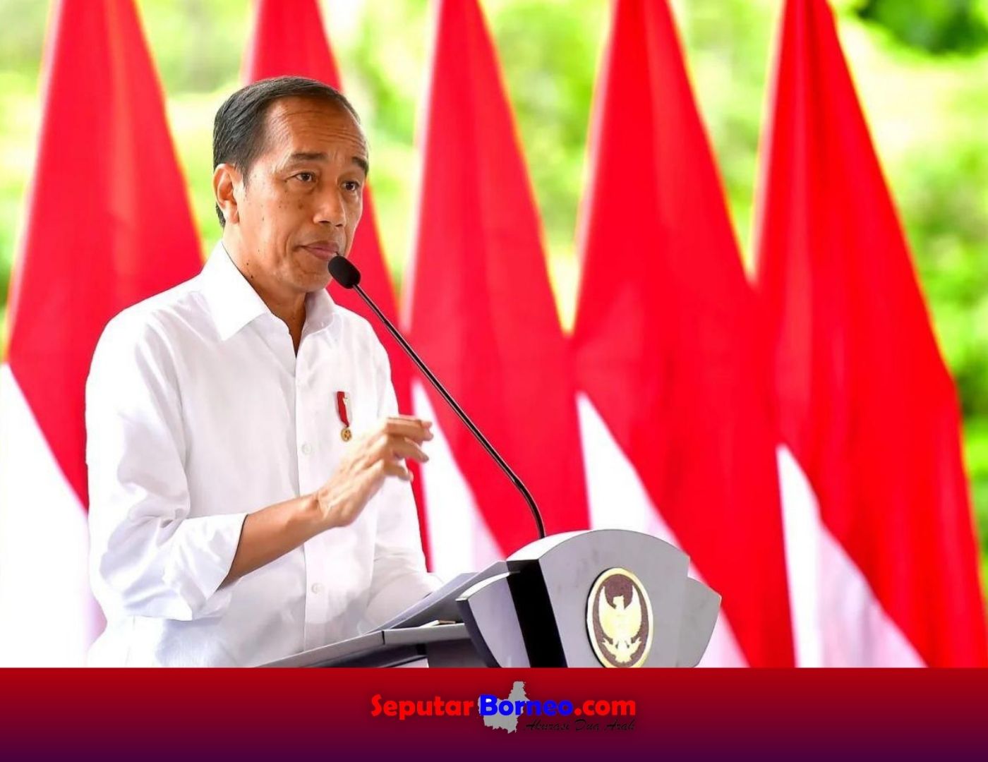 Presiden Jokowi Apresiasi TNI-Polri Atas Kebebasan Pilot Susi Air dari Sanderaan KKB