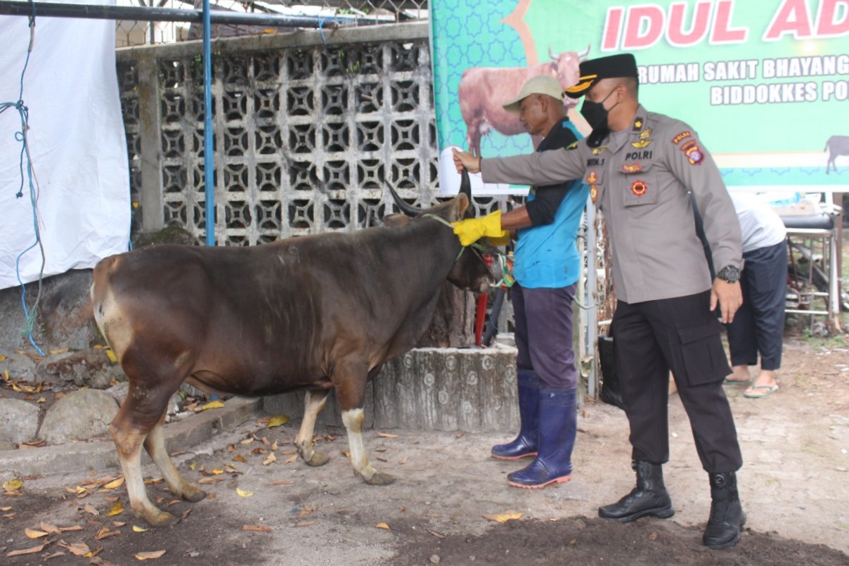 Tebar Kebahagiaan di Hari Raya Idul Adha dengan Berkurban