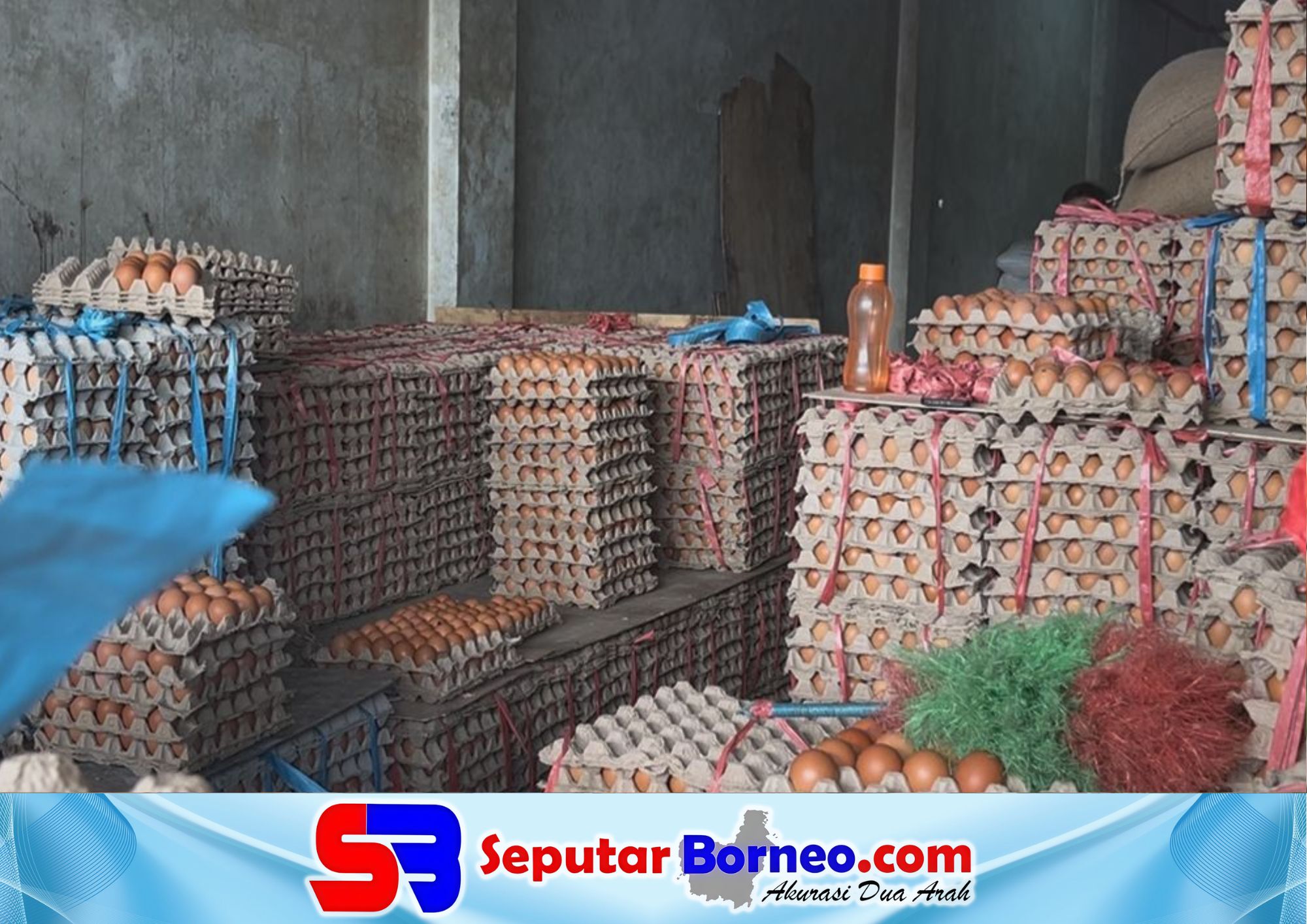 Peternakan Kotim Tertekan, Produksi Telur Naik tapi Harga Terus Anjlok
