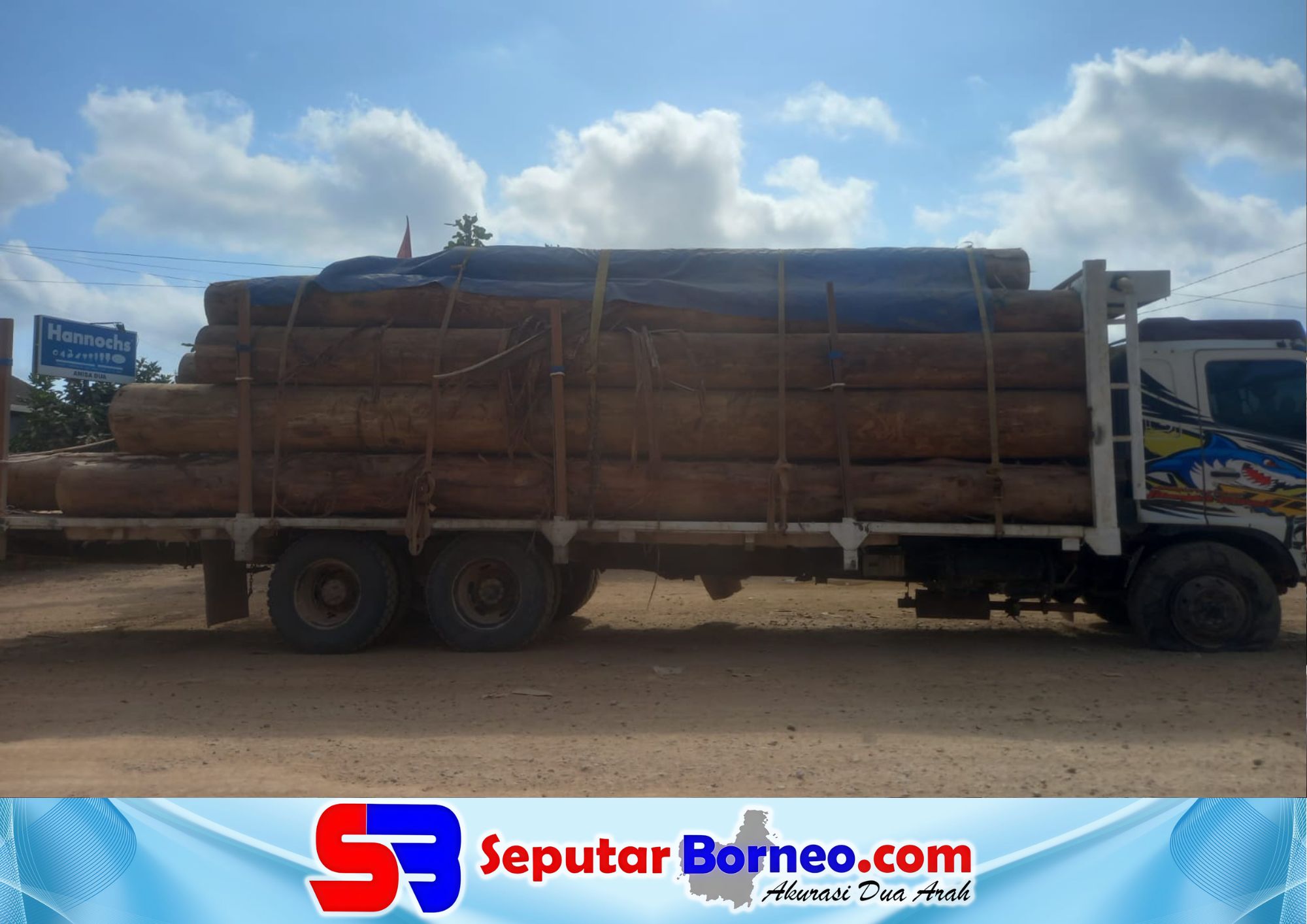 Dugaan Kayu Ilegal di Lamandau, Bupati Rizky: Tangkap Saja, Jika Ada yang Catut Nama Saya!